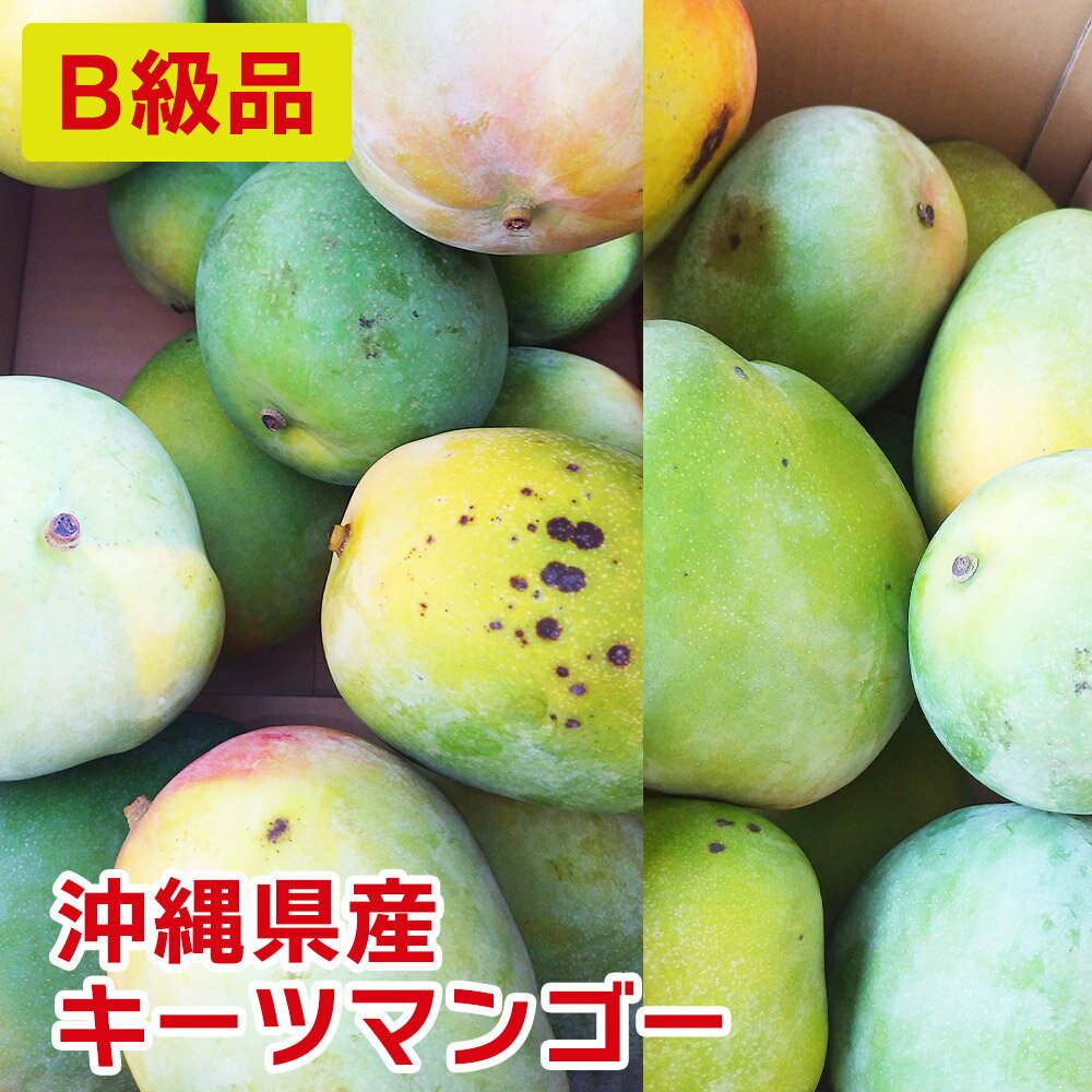 【送料無料】楽天ランク1位獲得！超特価！B級品キーツマンゴー【1kg・2kg・3kg・5kg・10kg】 マンゴー ドライマンゴー お中元 沖縄 グルメ 冷凍マンゴー 訳あり 無添加 1玉 マンゴー苗木 保存の仕方 完熟マンゴー ドライ ミニマンゴー 食べごろ マンゴースイーツ