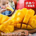 【送料無料】祝!楽天ランキングNo.1受賞!【訳ありマンゴー約3kg】 マンゴー 訳あり 太陽のタマゴ マンゴージュース 宮崎 2kg 宮古島 完熟 2l タイ 沖縄 訳アリ 家庭用 秀 スイーツ スムージー 台湾 冷凍 沖縄土産 ミニマンゴー 御中元 お中元 暑中見舞い 残暑見舞い