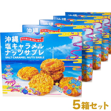 【 送料無料 】 沖縄塩キャラメルナッツサブレ5箱セット 沖縄 お菓子 沖縄お土産 土産 スイーツ グルメ お土産 おすすめ 在庫処分 スイーツ 洋菓子 可愛い 個包装 プチギフト 退職 名入れ 小分け 結婚祝い プレゼント のし 熨斗 快気祝 ありがとう ラッピング 贈答用 贈答