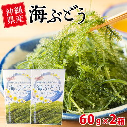 【送料無料】【海ぶどう60g×2箱セット】送料無料 海ぶどう 海ブドウ うみぶどう ウミブドウ 海ぶどう生 海葡萄 グリーンキャビア 沖縄産 沖縄県産 通販 タレ 沖縄 食べ方 おつまみ 酒の肴 肴 晩酌 ビール 焼酎 日本酒 ワイン ハイボール レモンハイ レモン酎ハイ