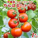 名称：やんばるミニトマト1キロ 産地：沖縄 糖度は8〜10度となっています。普通の大玉トマトの糖度は4〜6度なので、甘みを感じる美味しいトマトです。トマトらしい酸味もしっかりあるので、トマト好きの方にも満足の味わいです。果肉がしっかり詰まっているので水っぽくなることもありません。生で食べるのはもちろん、丸ごとパスタやオーブン料理に使うのもおすすめですよ。 在庫について 在庫について、タイムリーな在庫修正を日々心掛けておりますが、ご注文が集中した場合、実際の在庫数とずれが生じ、ご注文いただいた商品が欠品となる場合がございます。その場合は、納品日延期のご相談をさせていただくこともございます。あらかじめご了承ください。 &nbsp; 賞味期限について 賞味期限について、国内お土産で賞味期限が70日と記載されている商品は、出荷時点で賞味期限が2週間以上の商品を出荷しております。国内お土産で賞味期限が30日と記載されている商品は、出荷時点で賞味期限が1週間以上の商品を出荷しております。