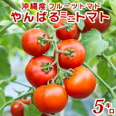 【送料無料】【やんばるミニトマト5kg】 送料無料 ミニトマト トマト 甘い 野菜 高糖度 リコピン ビタミンC 美味しい 栄養価 食卓 美容..