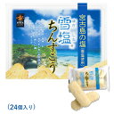 【10日店内最大P20倍】 【 さんぴん茶 付き】 ちんすこう 雪塩 24個 沖縄 お土産 お菓子 送料無料 南風堂 琉球 銘菓 定番お土産 沖縄土産 おみやげ 12x2袋