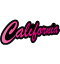 010 California pink アメリカンステッカー スーツケース シール ステッカー 耐水 耐紫外線 屋外用 カリフォルニアステッカー バンパーステッカー