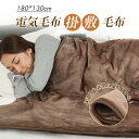 \赤字覚悟★冬物先行特別価格~!!!/【大きいサイズ&両面フランネル】電気毛布 掛け敷き 188*130cm 160*130cm 厚手生地 電気ブランケット シングル ダブル 6段階温度調整 省エネ 電気敷き毛布 4段階タイマー 電気ひざ掛け 丸洗い ダニ退治