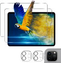 \~ 送料無料 ~/【2+2枚セット】 対応 iPad Pro 11 ガラスフィルム 2枚 + レンズ保護フィルム 2枚 iPad Pro 11インチ (202...