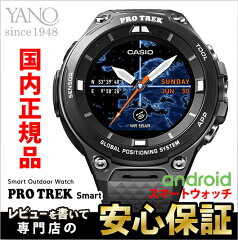 https://thumbnail.image.rakuten.co.jp/@0_mall/yano-online/cabinet/casio/wsd-f20bbk2.jpg