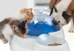 2重構造フィルターでいつも清潔な”流れるお水夏場の必需品ですウォーターファウンテン