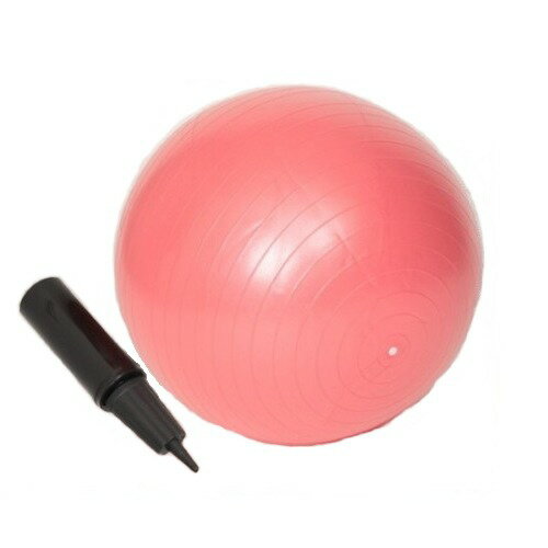 Х󥹥ܡ 襬 ץåץܡ 55cm ꡼balanceball ȥ졼˥ ȥȥ