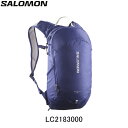 【10%OFFクーポン発行中!】サロモン SALOMON TRAILBLAZER 10 トレイルブレイザー10 ランニングアクセサリー ハイキングバッグ バック...