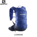 サロモン（SALOMON）（メンズ、レディース）ベルト 3Dボトル付 ACTIVE BOTTLE LC2179200