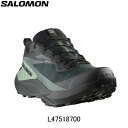 【10%OFFクーポン発行中】サロモン SALOMON GENESIS GORE-TEX ジェネシス ゴアテックス ランニングシューズ 靴 メンズ 男性陸上・ラ...