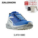 【数量限定ノベルティ付】サロモン SALOMON SENSE RIDE 5 センスライド 5 ランニングシューズ 靴 メンズ 男性 ランニング