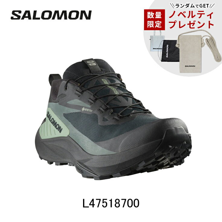 【数量限定ノベルティ付】サロモン SALOMON GENESIS GORE-TEX ジェネシス ゴアテックス ランニングシューズ 靴 メンズ 男性陸上・ランニング用品 brdsa catsh priq8 disq2 dirq1