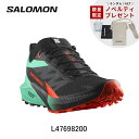 【数量限定ノベルティ付】サロモン SALOMON SENSE RIDE 5 センスライド 5 ランニングシューズ 靴 メンズ 男性陸上・ランニング用品 brds...