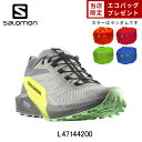 【サロモンセール 20%OFF & エコバックプレゼント】 サロモン SALOMON SENSE RIDE 5 ランニングシューズ 靴 メンズ 男性【l47144200】陸上・ランニング用品