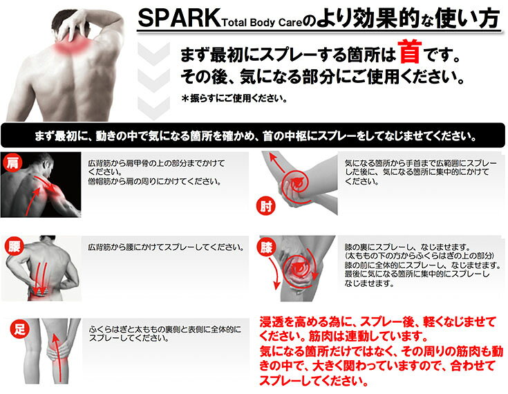 �ѥ롼�� ���ѡ��� �ȡ����� �ܥǥ������� SPARK U Total body care �ե����� ˢ���꡼�� spark-foam ���˥󥰡�Φ������