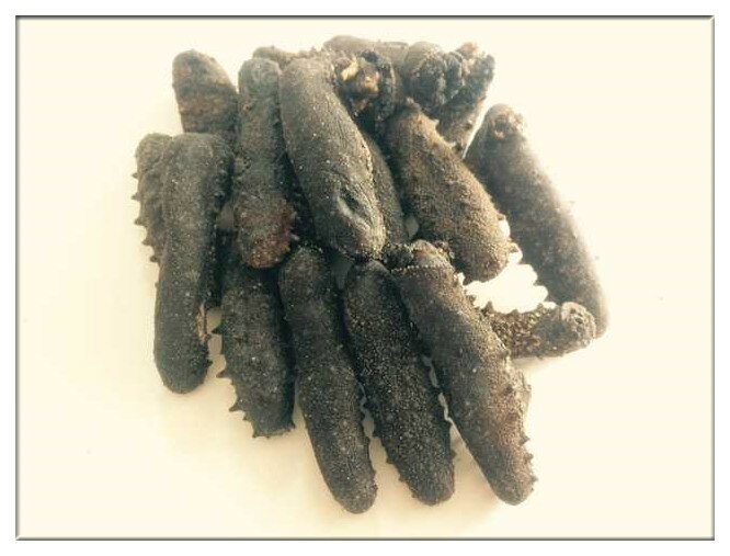 【お試し限定激安】関西産 B級品なまこ 簡易包装 100g入り 【自家用訳あり品 キズあり、形崩れ】ナマコ・乾燥なまこ・乾燥ナマコ・干しナマコ・干しなまこ・金ん...