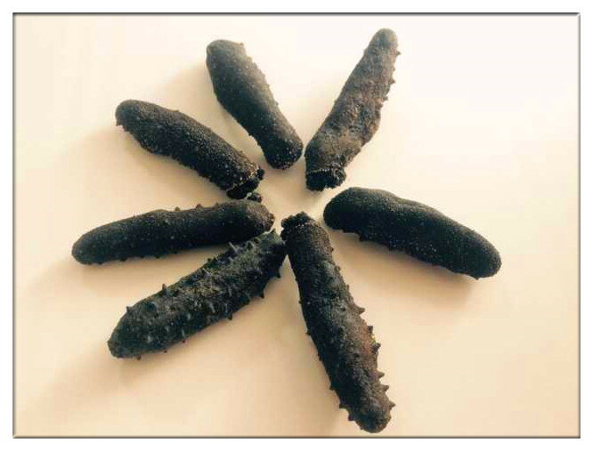 【お試し限定激安】【関西産】【メール便】【簡易包装】B級品なまこ 100g入り Sサイズ(5g以下) 【自家用訳あり品 キズあり、形崩れ】ナマコ・乾燥なまこ・乾...