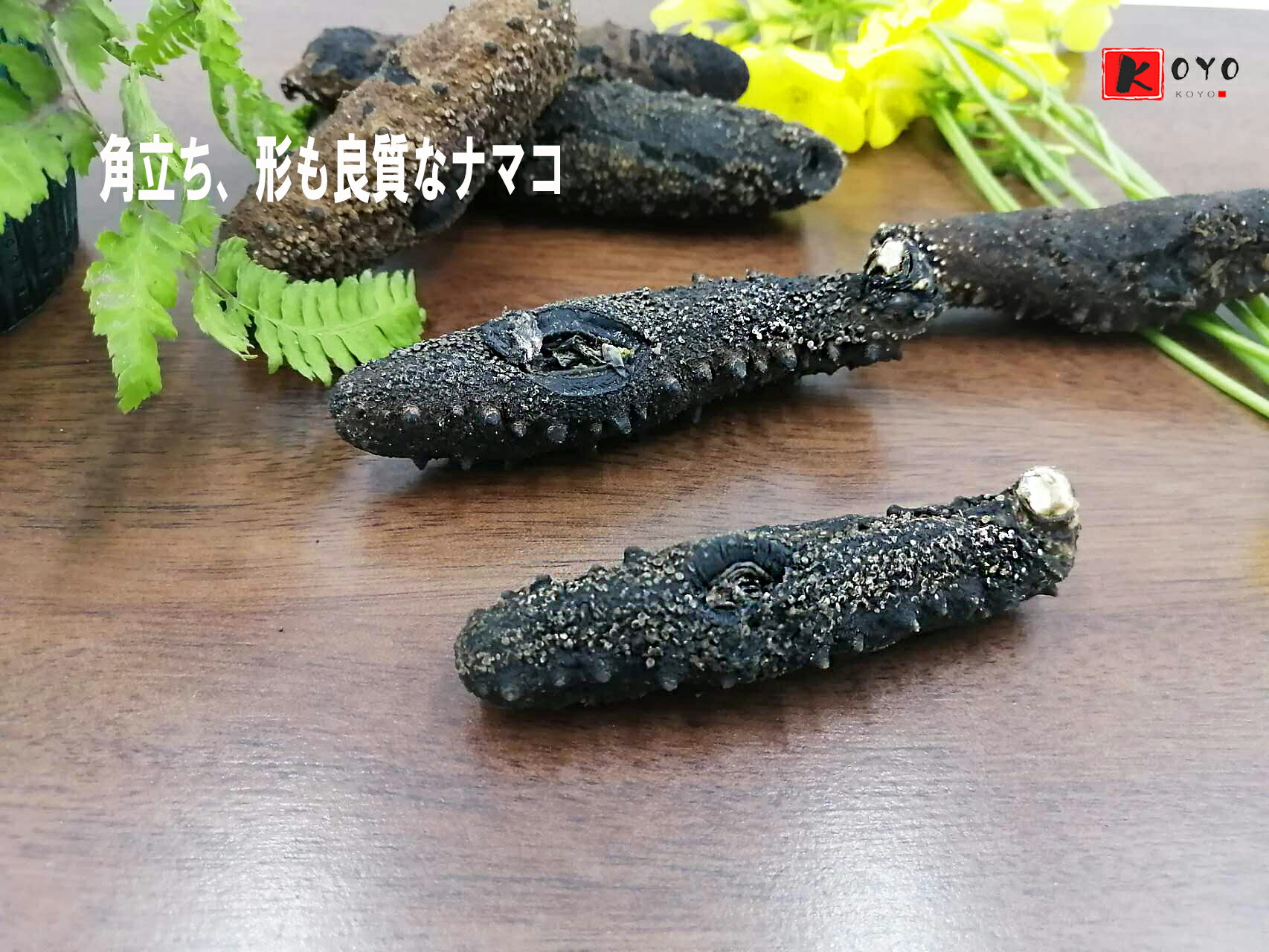 【関西産】B級品なまこ 250g入り Mサイズ(8〜11g) 【自家用訳あり品　キズあり、形崩れ】ナマコ・乾燥なまこ・乾燥ナマコ・干しナマコ・干しなまこ・金ん子・海鼠