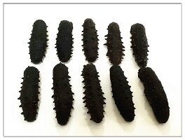 【関西産】A級品なまこ500g入りMサイズ(5〜8g)【ナマコ・乾燥なまこ・乾燥ナマコ・干しナマコ・干しなまこ・金ん子・海鼠】
