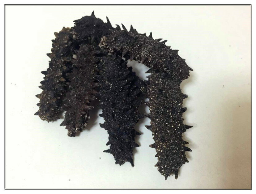 【北海道産】B級品 500g Sサイズ(5g以下)【自家用、訳あり品、キズあり、形崩】ナマコ・乾燥なまこ・乾燥ナマコ・干しナマコ・干しなまこ・金ん子・淡干海鼠