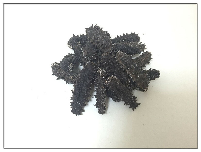 【北海道産】【簡易包装】B級品 500g 2Sサイズ3g以下【自家用訳あり品、キズあり、形崩】ナマコ・乾燥なまこ・乾燥ナマコ・干しナマコ・干しなまこ・金ん子・海...