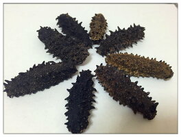 【北海道産】B級品150gSサイズ5g以下【自家用訳あり品、キズあり、形崩】ナマコ・乾燥なまこ・乾燥ナマコ・干しナマコ・干しなまこ・金ん子・海鼠