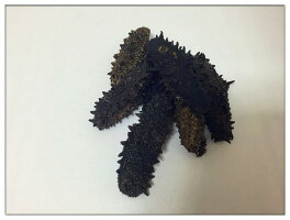 【北海道産】B級品500gMサイズ8〜11g【ナマコ・干しナマコ・干しなまこ・乾燥なまこ・海鼠・刺参・海参】【自家用、訳あり品、キズあり、形崩】