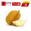 ベトナム産 ドリアン 生鮮 フレッシュ フルーツ 榴蓮 果物の王様 Lサイズ 1.3kg~1.9kg前後 1玉
