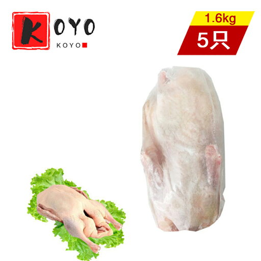 冷凍家鴨【5点セット】冷凍あひる 生鴨 丸鴨 丸ごと一羽 約 1.6kg×5点 冷凍家鴨【5点セット】冷凍あひる 生鴨 丸鴨 丸ごと一羽 約 1.6kg×5点