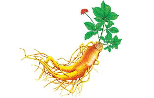 カナダ産西洋人参「花旗参」100g