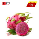 【着後レビューで200円クーポンGET】ドラゴンフルーツ 人気の果物 火龍果 レッドピタヤ 赤玉 完熟 ピタヤ 赤肉種 1玉入り 約450g その1