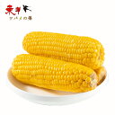 双葉黄糯玉米【5点セット】 モチとうもろこし 軸付き黄糯玉米 5本