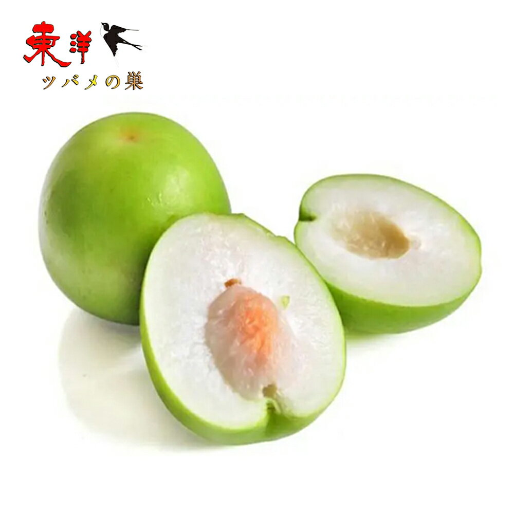 台湾青棗【ケース販売】【2点セット】台湾ナツメ 高級蜜棗 新鮮フレッシュインドナツメ ビタミンCが豊富 果物 フルーツ 家庭用 贈答用ギフト約2.5kg×2点