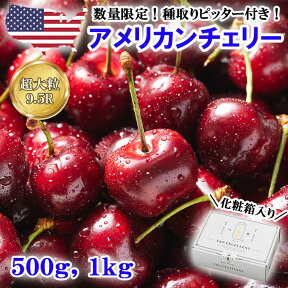 数量限定おまけつき！【 先行予約 】超大粒 サイズ ダークチェリー 500g、1kg 【 さくらんぼ サクランボ アメリカンチェリー 夏季 限定 厳選 高級 果物 輸入 フルーツ 旬 箱入り 化粧箱 ギフト 贈答 贈り物 プレゼント お土産 母の日 父の日 御中元 記念日 冷蔵 送料無料 】