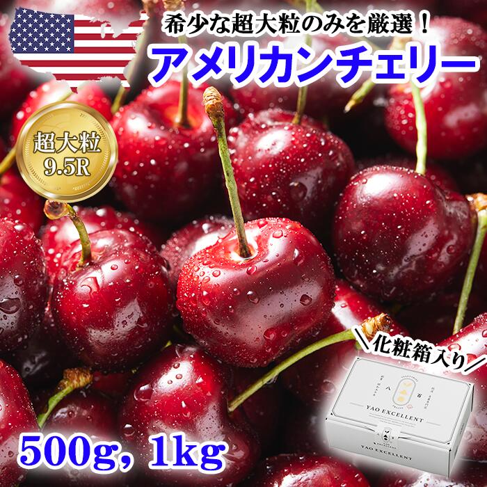 さくらんぼ 【 先行予約 】超大粒 サイズ ダークチェリー 500g、1kg 【 さくらんぼ サクランボ アメリカンチェリー 夏季 限定 厳選 高級 果物 輸入 フルーツ 旬 箱入り 化粧箱 ギフト 贈答 贈り物 プレゼント お土産 母の日 父の日 御中元 記念日 冷蔵 送料無料 】