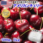 【 先行予約 】超大粒 サイズ ダークチェリー 500g、1kg 【 さくらんぼ サクランボ アメリカンチェリー 夏季 限定 厳選 高級 果物 輸入 フルーツ 旬 箱入り 化粧箱 ギフト 贈答 贈り物 プレゼント お土産 母の日 父の日 御中元 記念日 冷蔵 送料無料 】