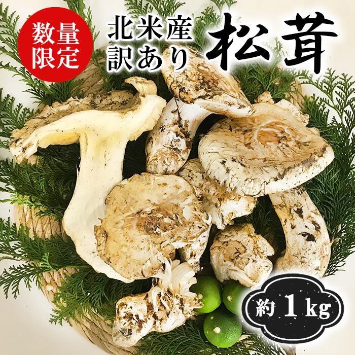 【 訳あり 数量限定 天然松茸 1kg 】北米産(カナダ・アメリカ産) まつたけ マツタケ 松茸 シャキシャキ 食感 訳アリ 土瓶蒸し すき焼き 吸い物 松茸ご飯 ギフト お取り寄せ 高級 贈答 お歳暮 内祝 誕生日 還暦祝( お届け日指定不可 )