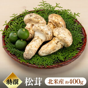 【 天然松茸 400g 】北米産(カナダ・アメリカ産) まつたけ マツタケ 松茸 シャキシャキ 食感 土瓶蒸し すき焼き 吸い物 松茸ご飯 ギフト 贈り物 プレゼント お取り寄せ 高級 手土産 贈答 お歳暮 内祝 出産祝い 誕生日 新築祝い 還暦祝い 化粧箱入り