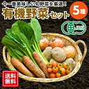 【厳選】 有機野菜 セット 5品目 【 新鮮 国産 野菜 やさい 野菜BOX 野菜セット 5種 旬 旬野菜 オーガニック オーガニック野菜 送料無料 玉ねぎ タ...