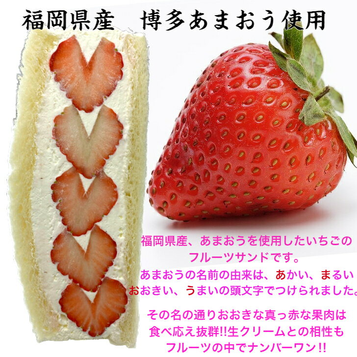 �ڳ�ŷ��󥭥�1�̳����۲Ƥ���������� �ե롼�ĥ���� ������ ���ꥹ�ޥ� ��¢�� �͵����� ��� ������ ��ǰ�� �ե롼�ĥ��ե� �ե롼�� �������� �����󤻥�������