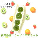 長野 山梨県産 シャインマスカット フルーツサンド クリスマス お歳暮 冷蔵便 人気商品 御祝 誕生日 記念日 プレゼント フルーツギフト フルーツ スイーツ お取り寄せスイーツ