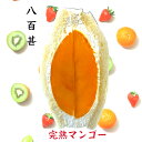 母の日 お菓子 ギフト【ランキング受賞記念！】北海道 函館 スイーツ 食べ比べ 4箱セット 送料無料 チーズスフレ ショコラ チーズケーキ チョコ お菓子 洋菓子 手づくり スイーツ デザート 個包装 お土産 お取り寄せ 贈り物 内祝い お返し お礼 お祝い スナッフルス公式