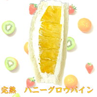【楽天ランキング1位獲得】高糖度 パイナップル ハニーグロウパイン フルーツサン...