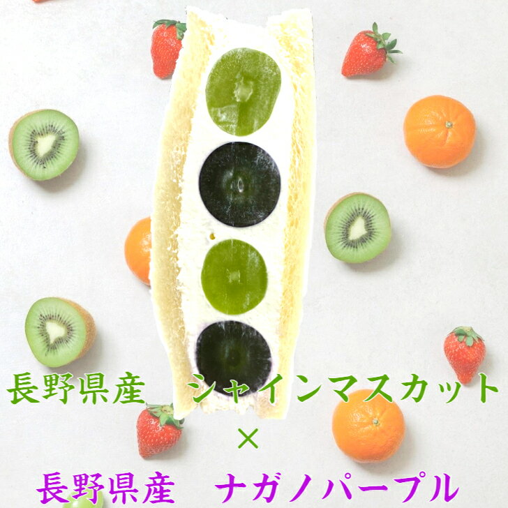 楽天八百甚　楽天市場店【楽天ランキング1位獲得】長野 山梨県産 シャインマスカット ナガノパープル フルーツサンド クリスマス お歳暮 冷蔵便 人気商品 御祝 誕生日 記念日 プレゼント フルーツギフト フルーツ スイーツ フルーツケーキ