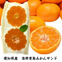 【本日ポイント10倍★お買い物マラソン限定 楽天ランキング1位獲得】愛知県産　蒲郡みかん フルーツサンド バレンタイン 冷蔵便 人気商品 御祝 誕生日 記念日 プレゼント フルーツギフト フルーツ お取り寄せ スイーツ 生フルーツ お取り寄せスイーツ