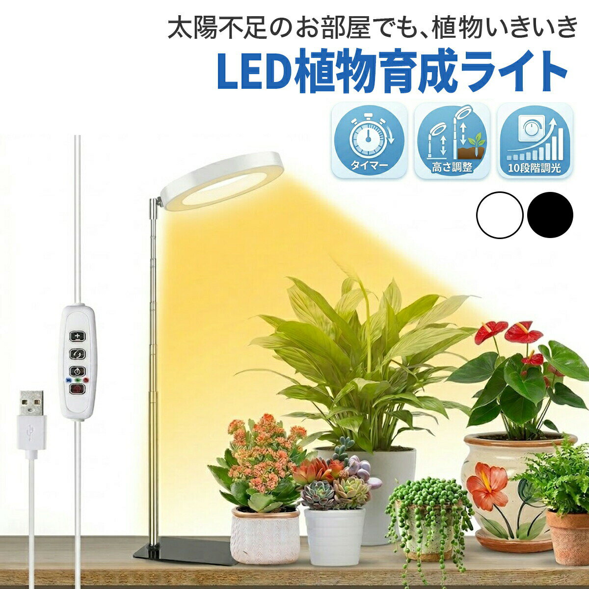 楽天市場】観葉植物 間接照明の通販