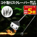 【10/30 12時〜クーポン&当店エントリーでP5倍!】コケ取り スクレーパー プロレイザー 46 ...