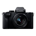 パナソニック LUMIX DC-G100DK-K G100D Kキット 標準ズームレンズキット ルミックス ミラーレス一眼カメラ Panasonic【クーポン割引対象外】(2)